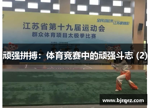顽强拼搏：体育竞赛中的顽强斗志 (2)